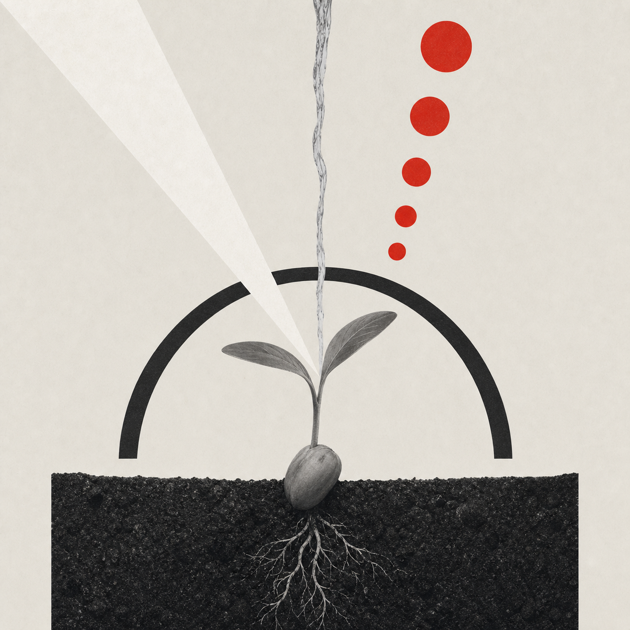 Swiss geometric composition showing seed, water, light, soil, and time converging into new growth